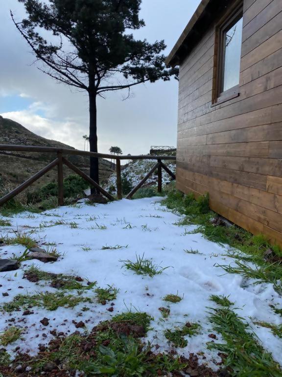 Mountain Eco Shelter 2 Hotell Funchal  Exteriör bild